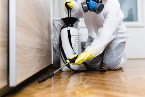 Wasp Removal Services in Cottonport, LA