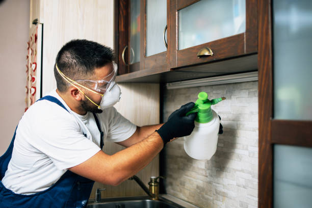 Pest Control Cost in Cottonport, LA