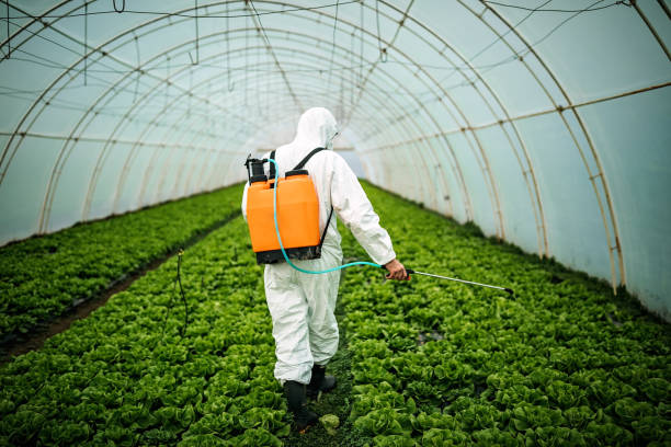Best Exterminator Services  in Cottonport, LA