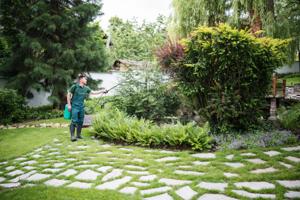 Best Mosquito Control Services  in Cottonport, LA