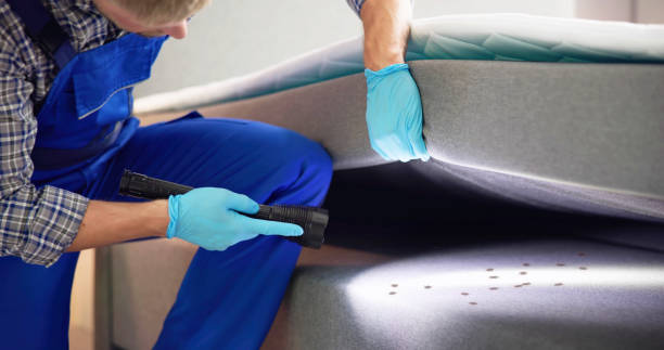 Best Emergency Pest Control  in Cottonport, LA
